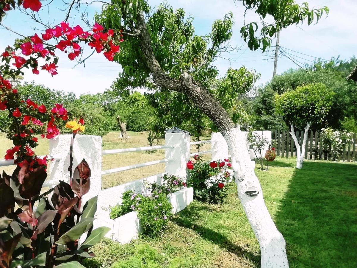 Marietta Villa Agios Gordios (Corfu)